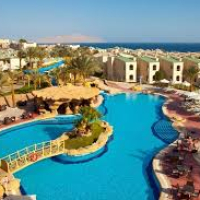 صورة الوجهة